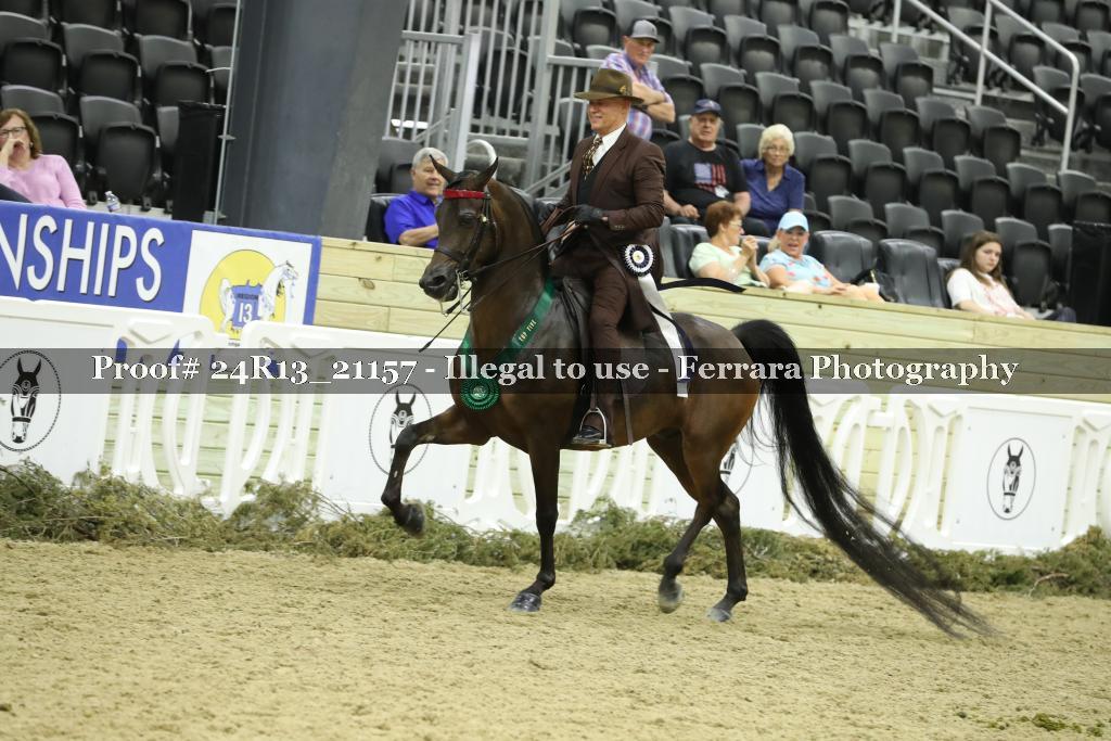 Proof 24R13_21157