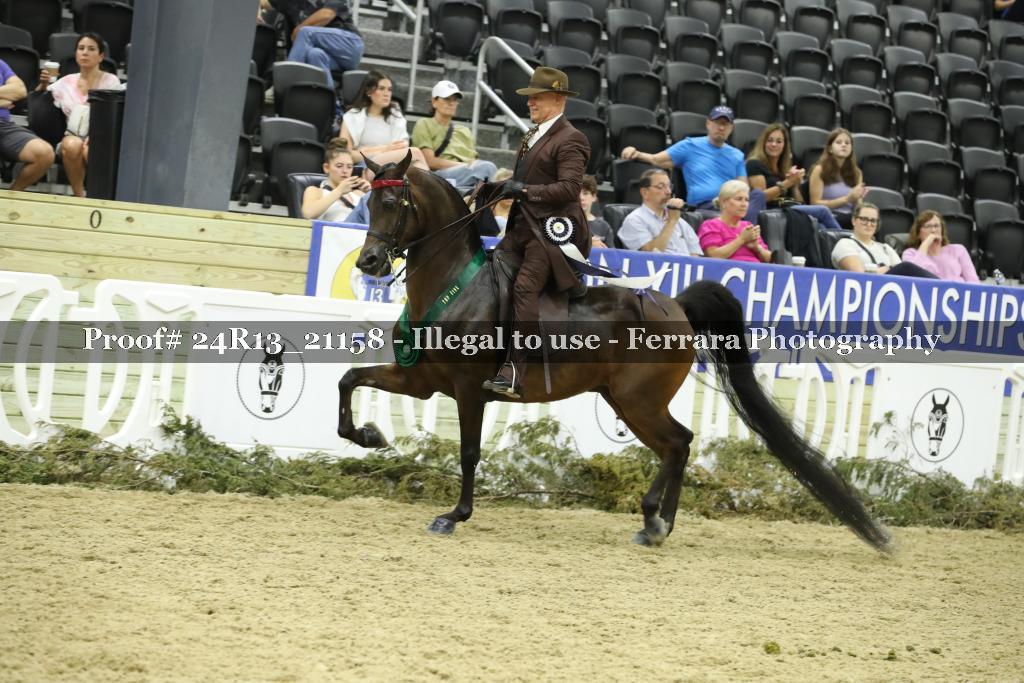 Proof 24R13_21158