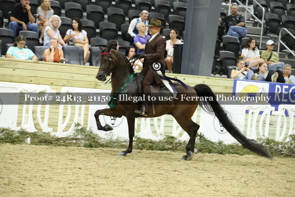Proof 24R13_21159