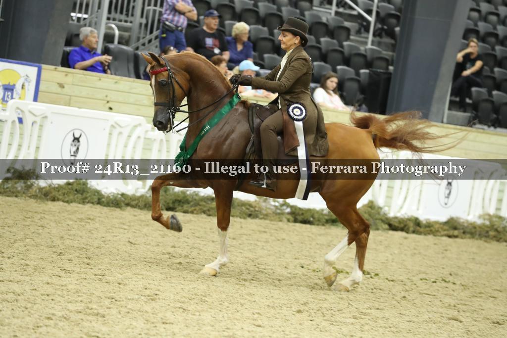 Proof 24R13_21160