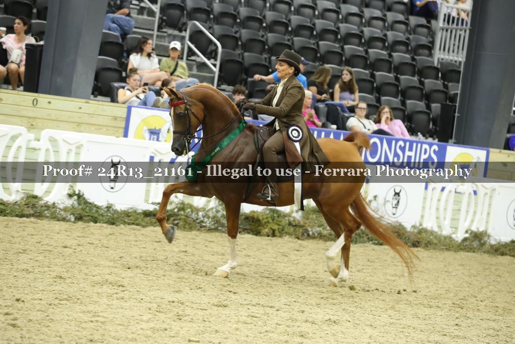 Proof 24R13_21161