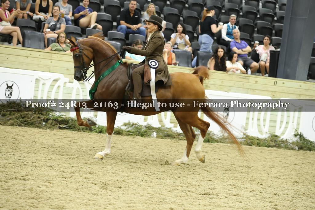 Proof 24R13_21163
