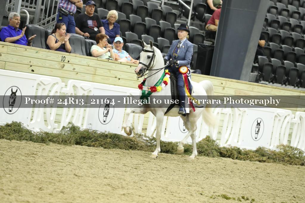 Proof 24R13_21164