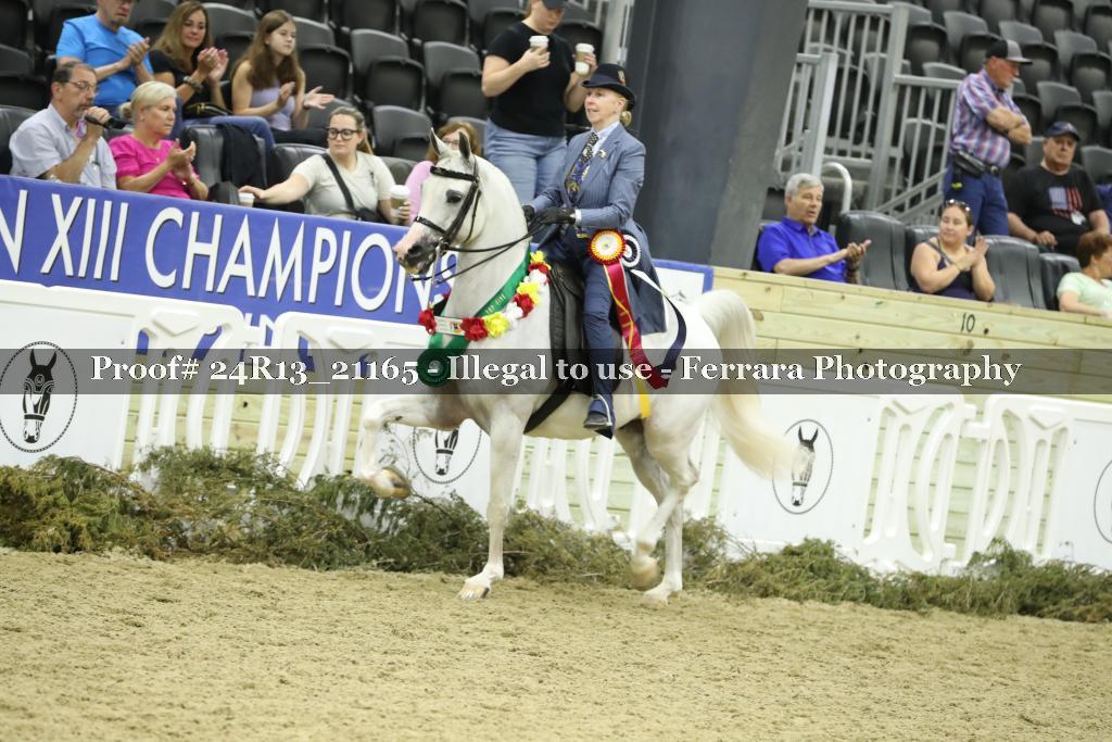 Proof 24R13_21165