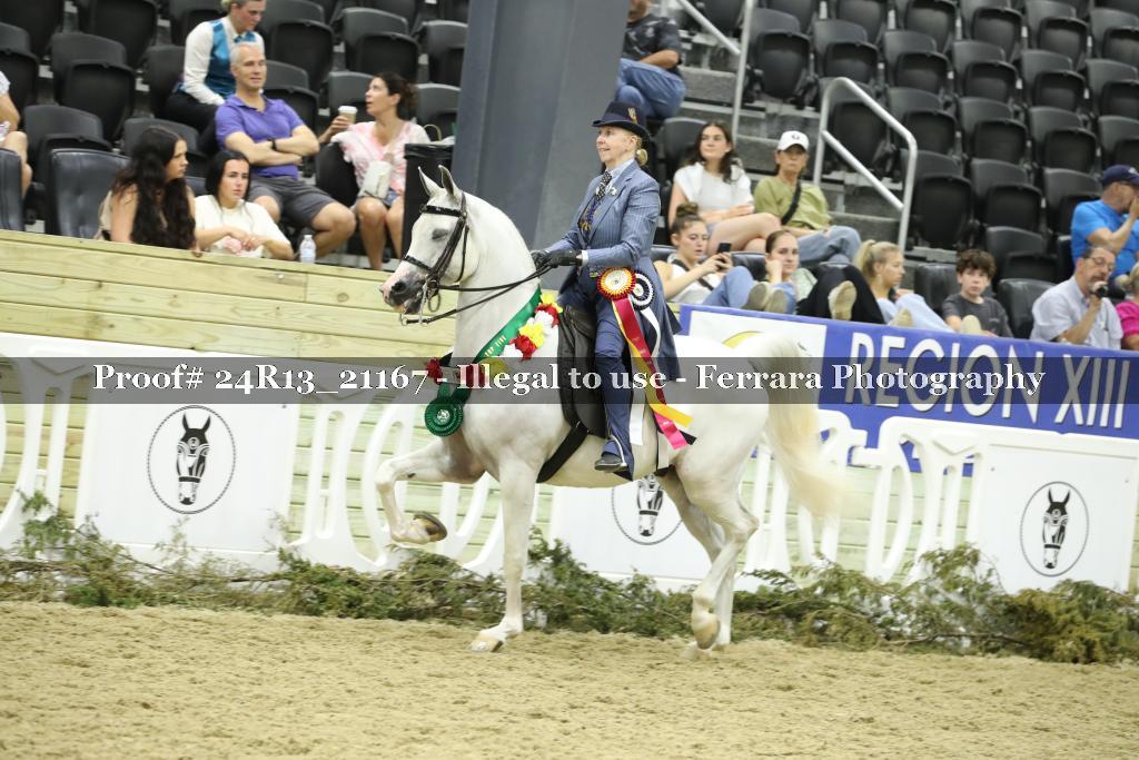 Proof 24R13_21167