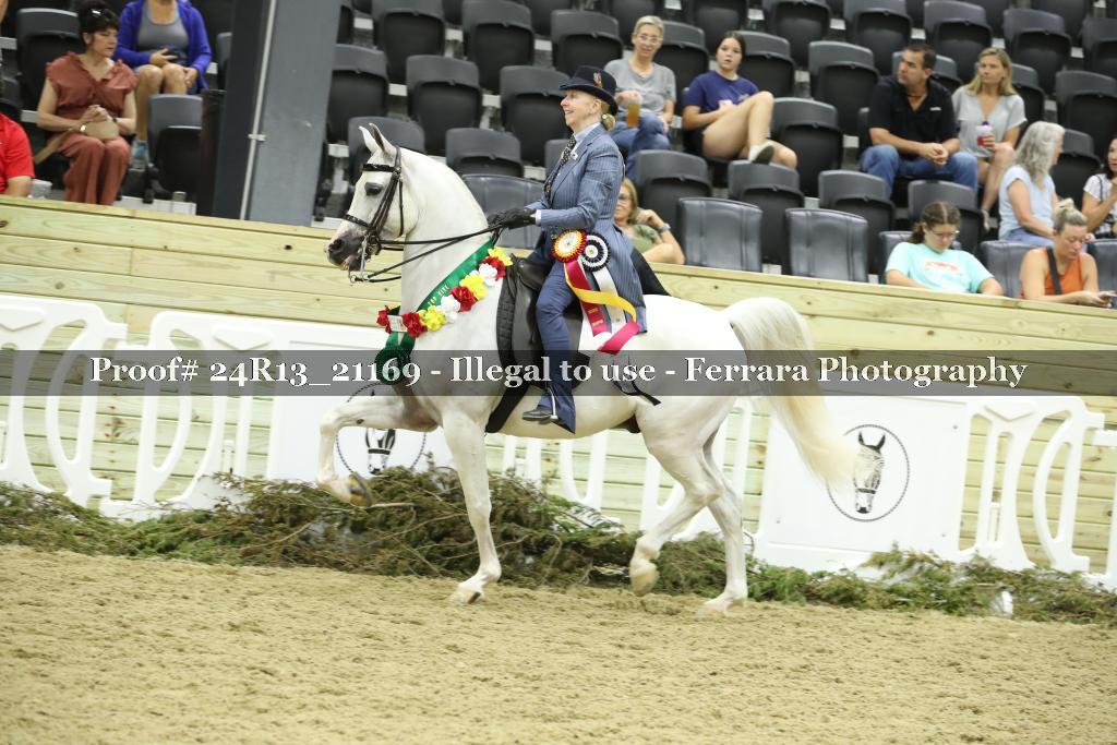 Proof 24R13_21169