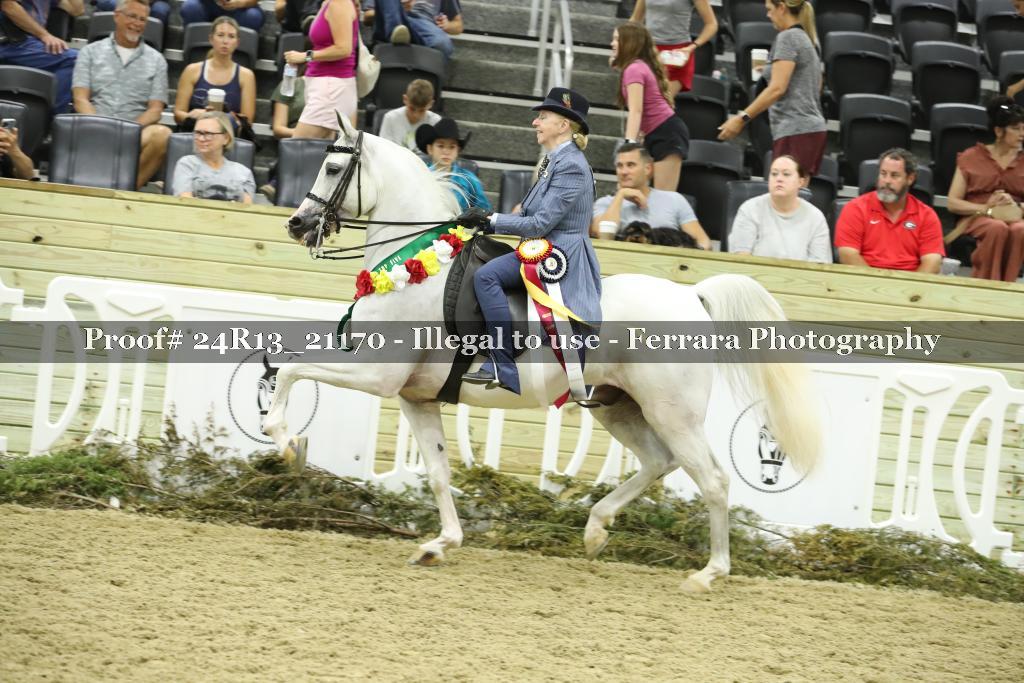 Proof 24R13_21170