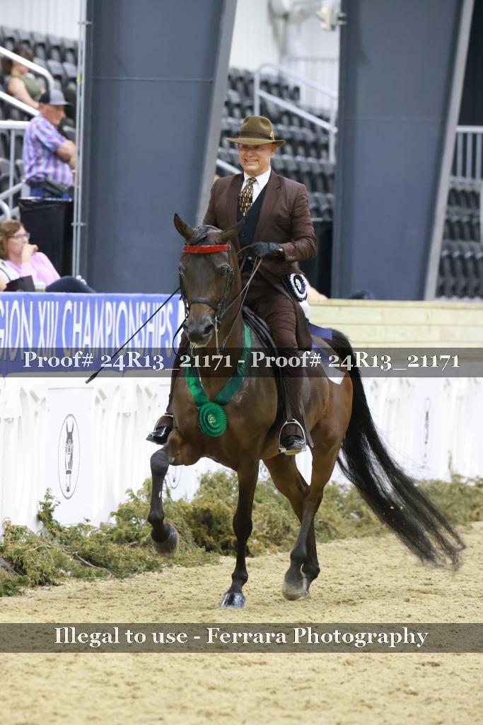 Proof 24R13_21171