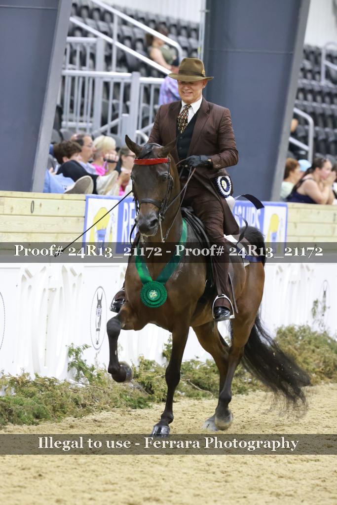 Proof 24R13_21172