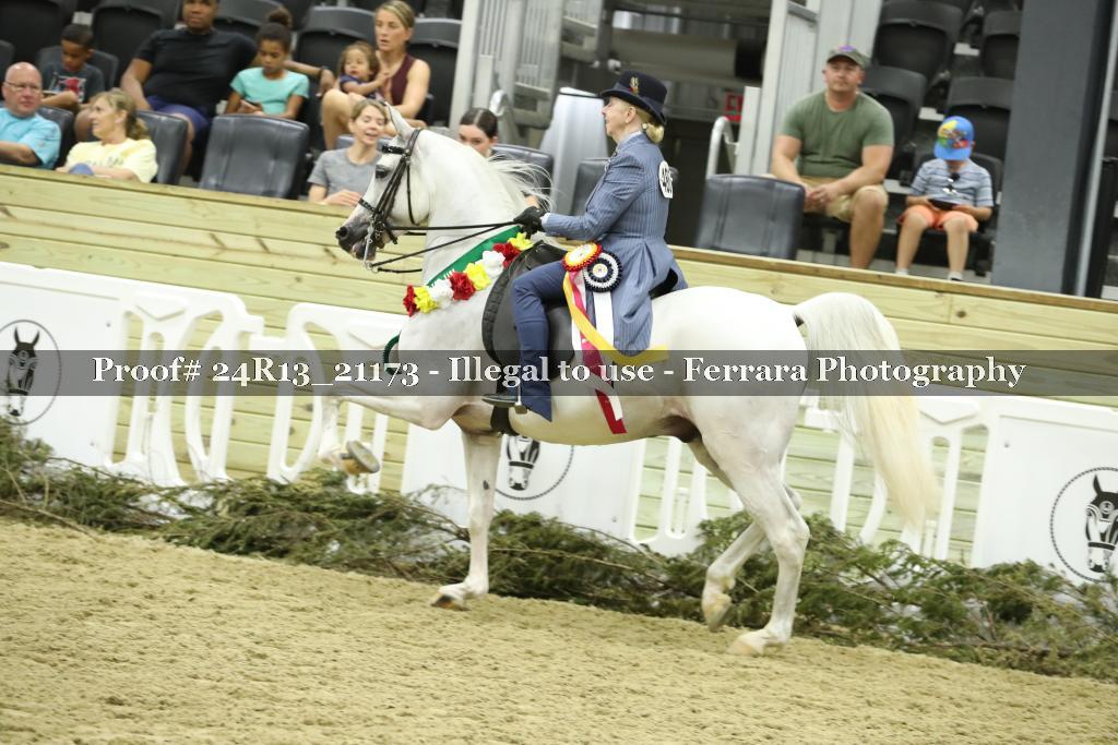 Proof 24R13_21173