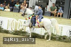 24R13_21173 proof
