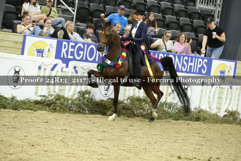 Proof 24R13_21175