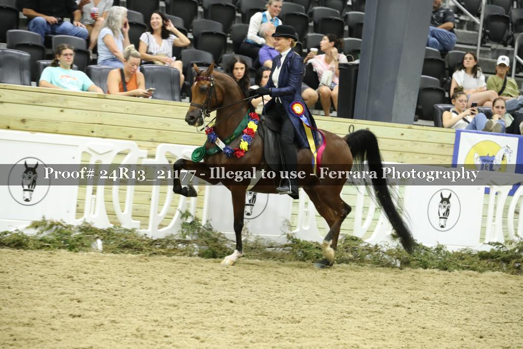 Proof 24R13_21177