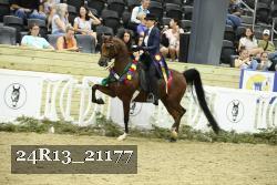 24R13_21177 proof