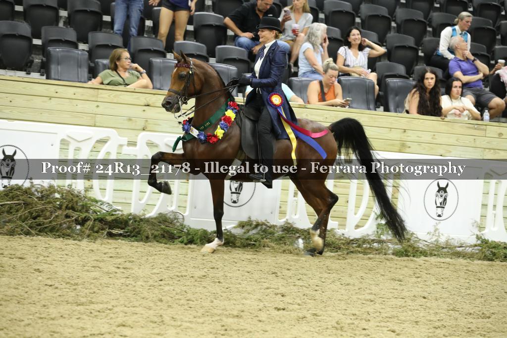Proof 24R13_21178