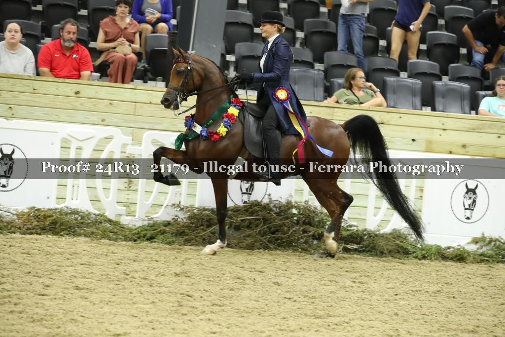 Proof 24R13_21179