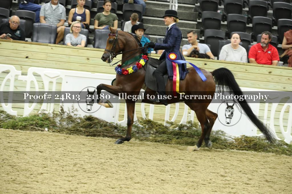 Proof 24R13_21180