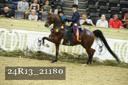 24R13_21180 proof