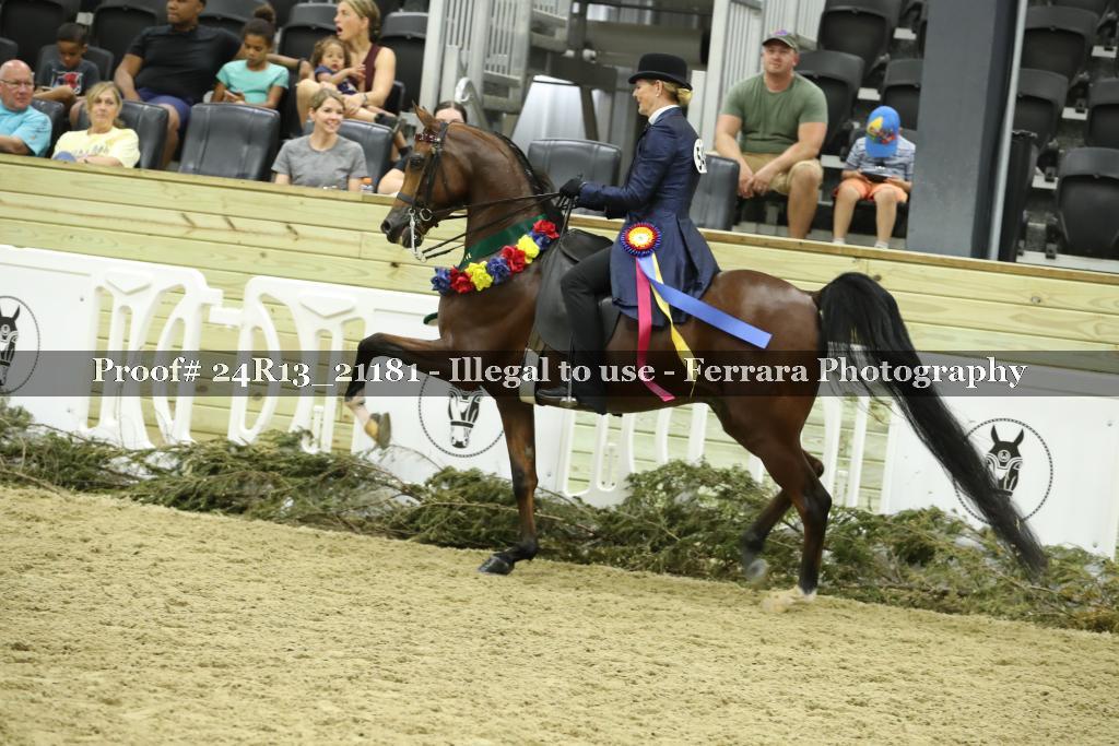 Proof 24R13_21181