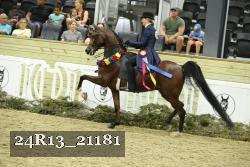 24R13_21181 proof