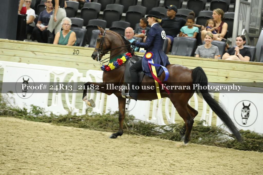 Proof 24R13_21182