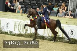 24R13_21182 proof