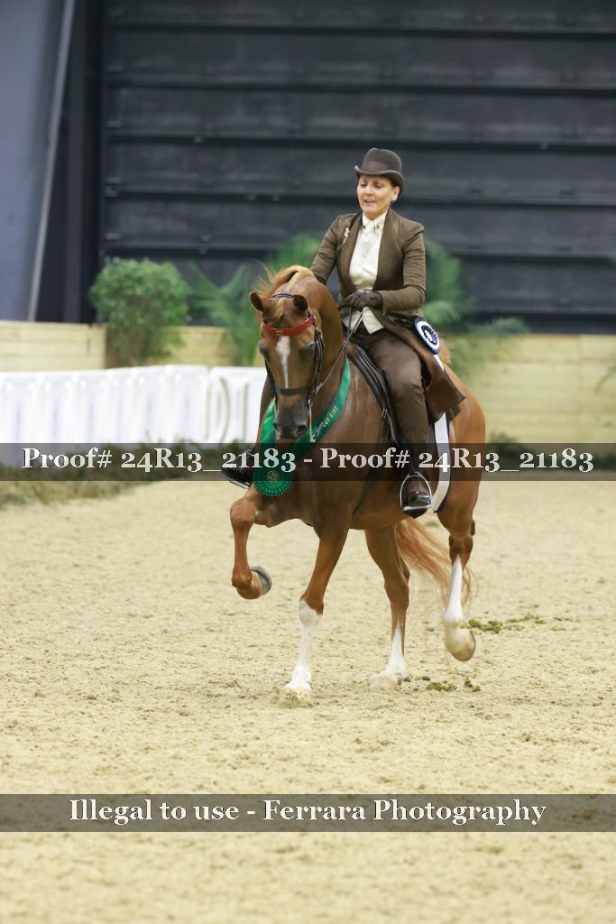 Proof 24R13_21183