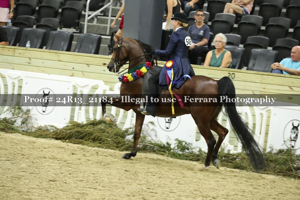 Proof 24R13_21184