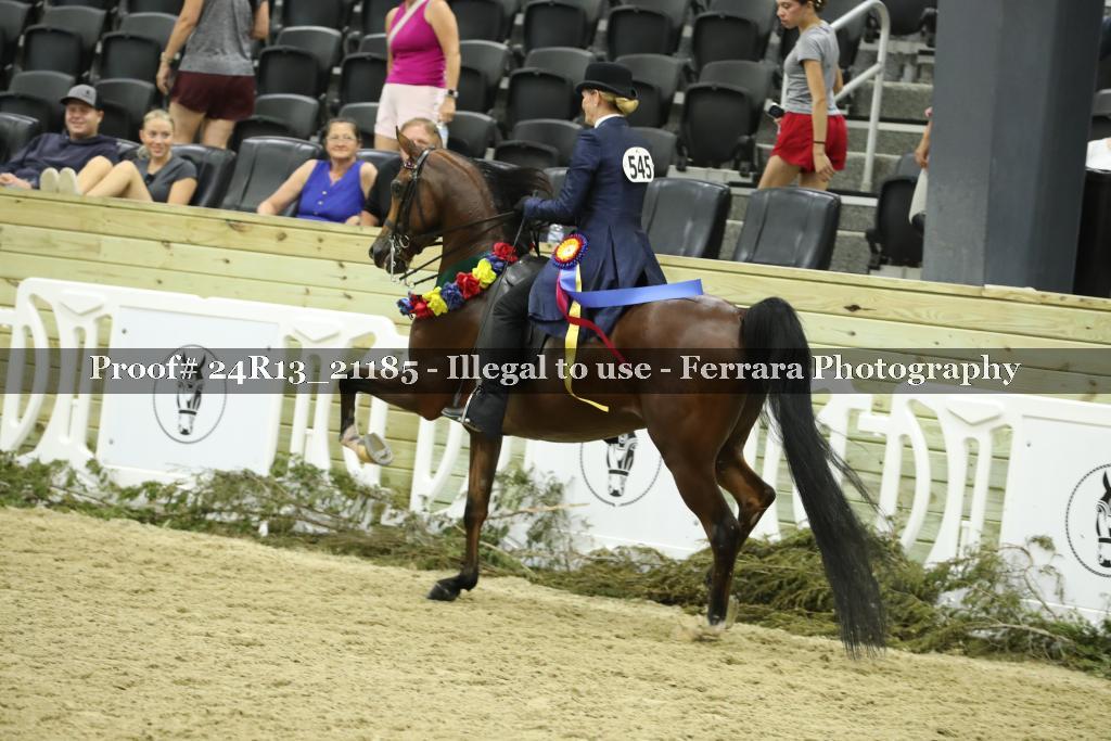 Proof 24R13_21185