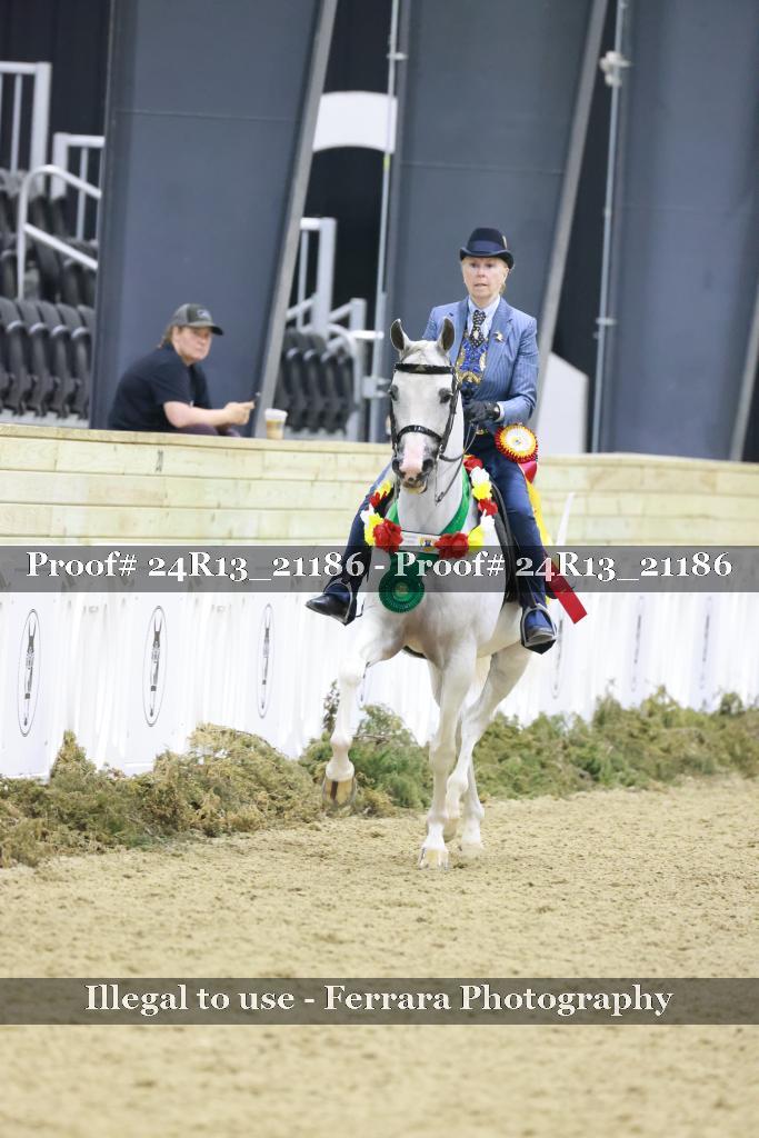 Proof 24R13_21186