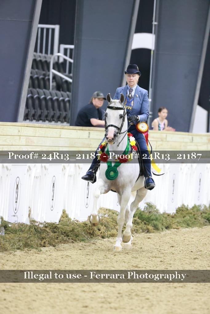 Proof 24R13_21187