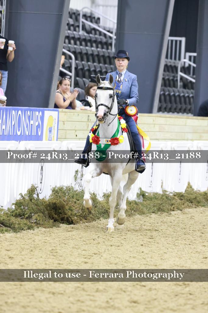 Proof 24R13_21188