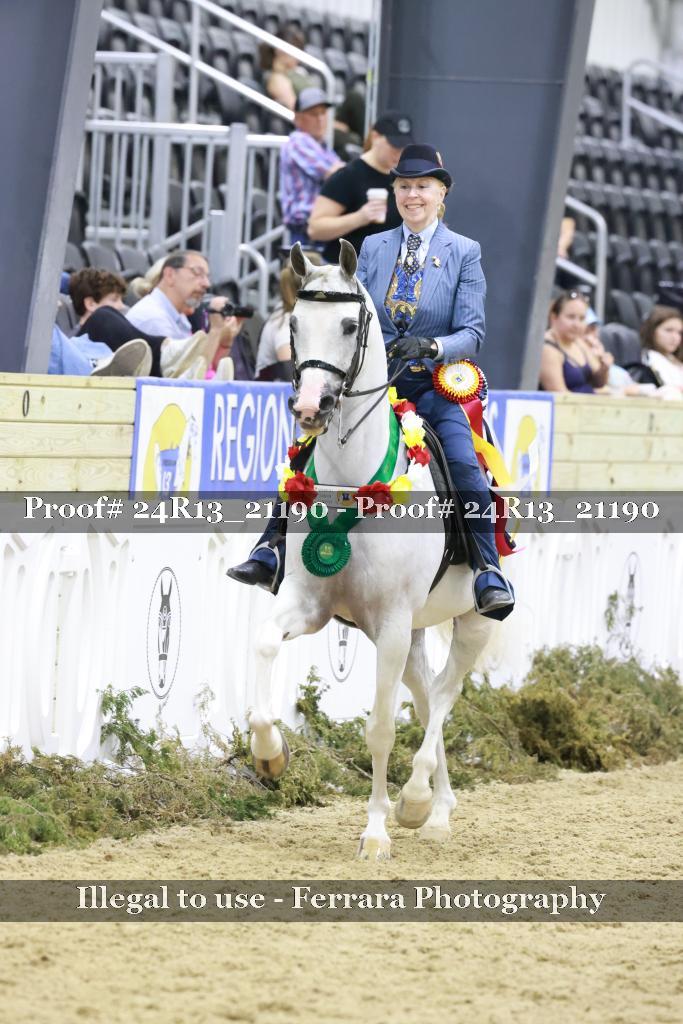 Proof 24R13_21190