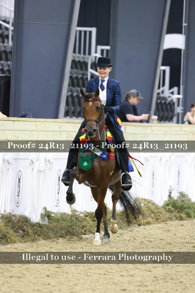 Proof 24R13_21193