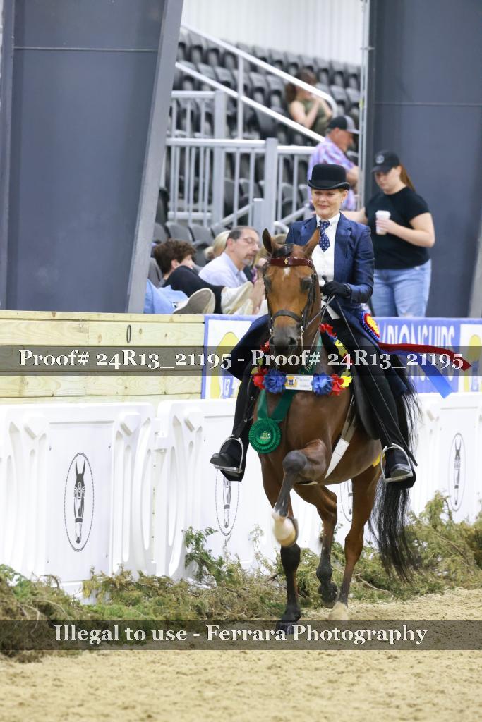 Proof 24R13_21195