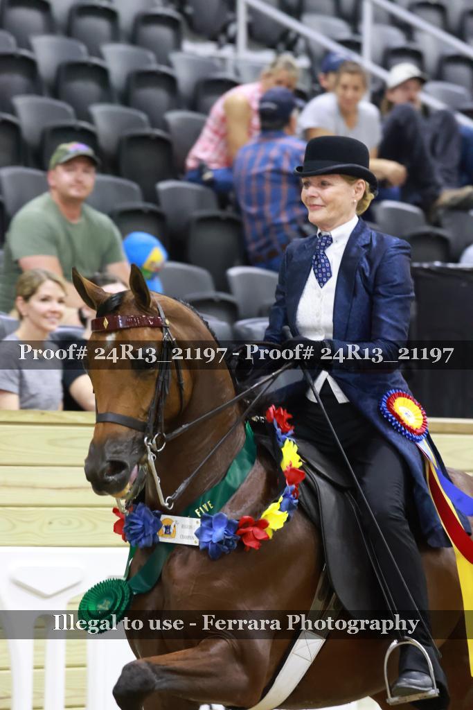 Proof 24R13_21197