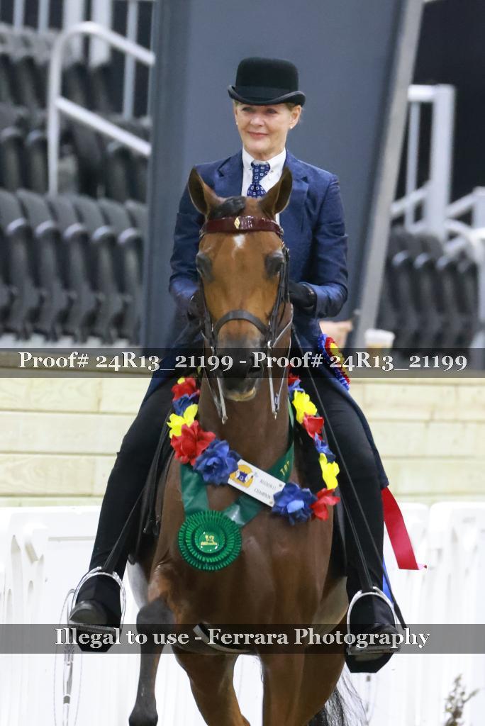 Proof 24R13_21199