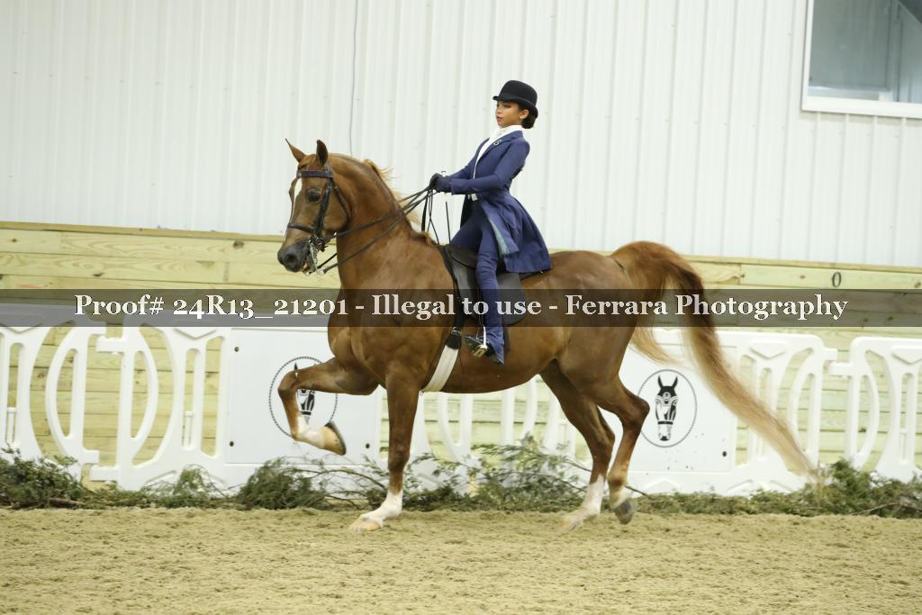 Proof 24R13_21201