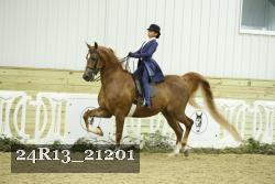 24R13_21201 proof