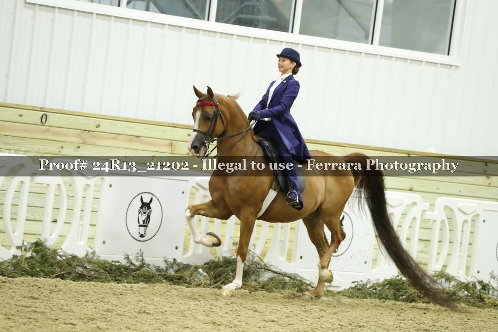 Proof 24R13_21202