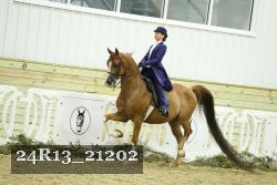 24R13_21202 proof