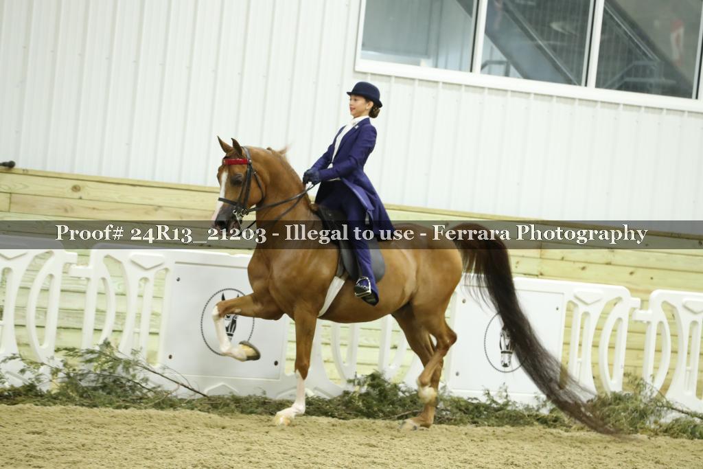 Proof 24R13_21203