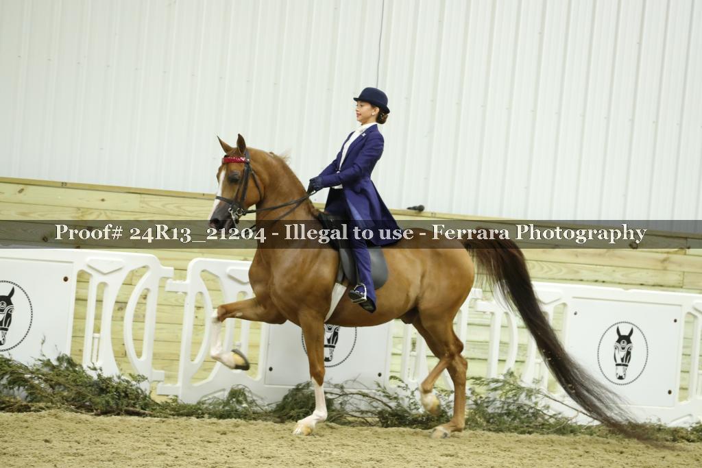 Proof 24R13_21204