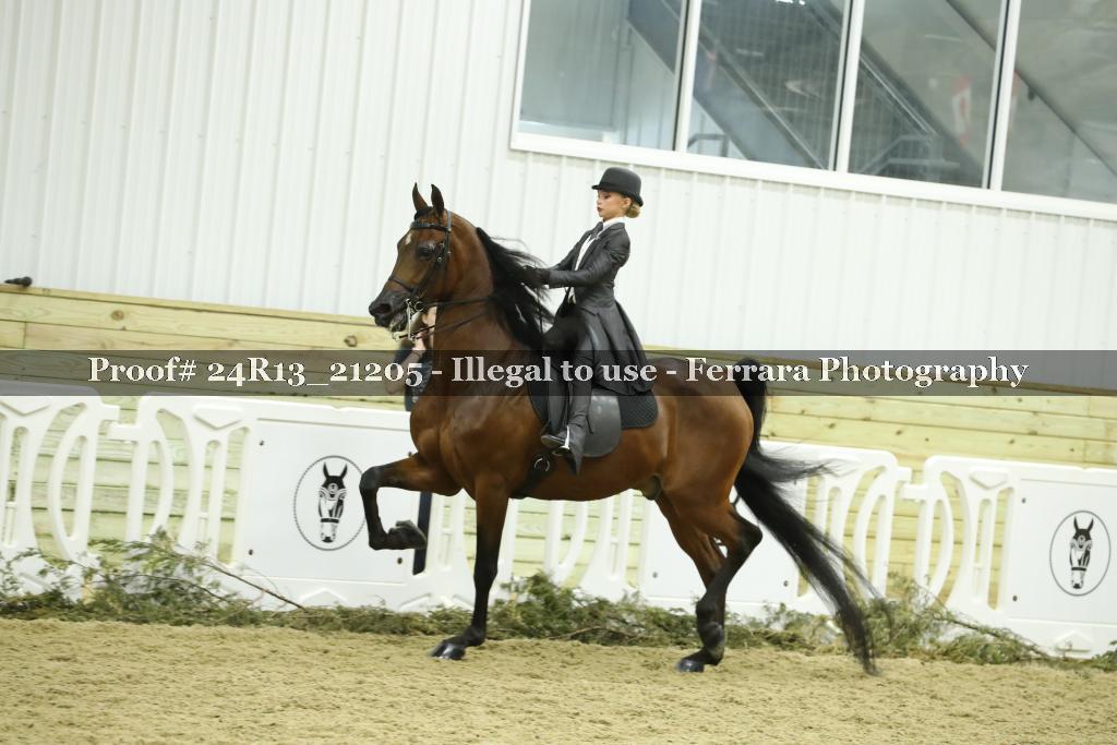 Proof 24R13_21205