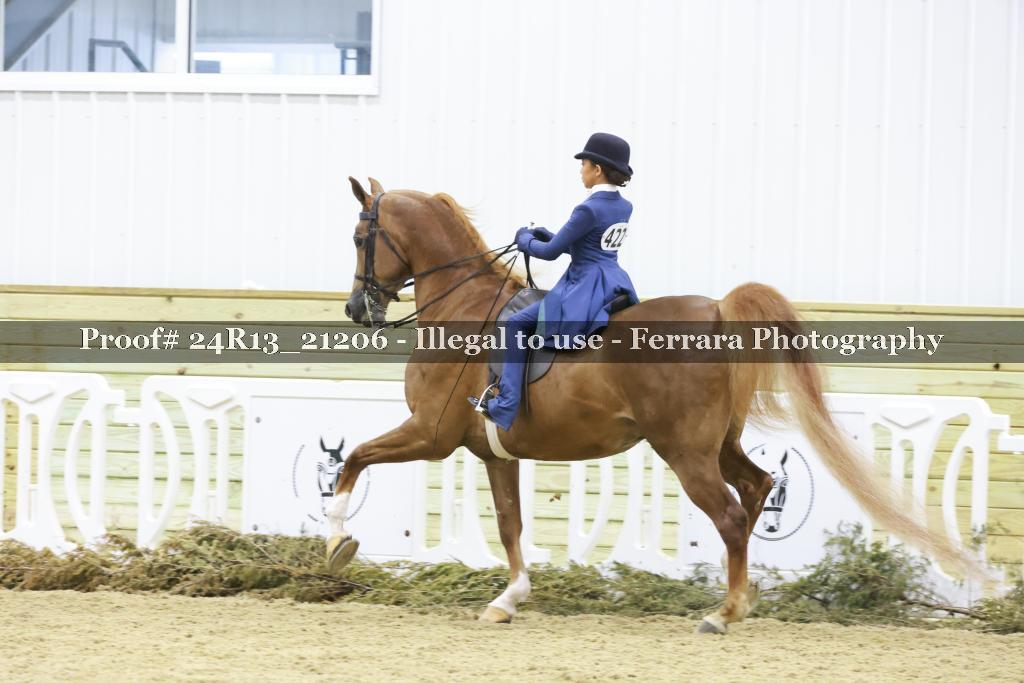 Proof 24R13_21206