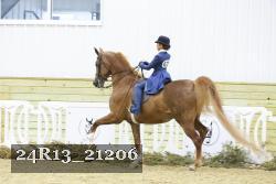 24R13_21206 proof