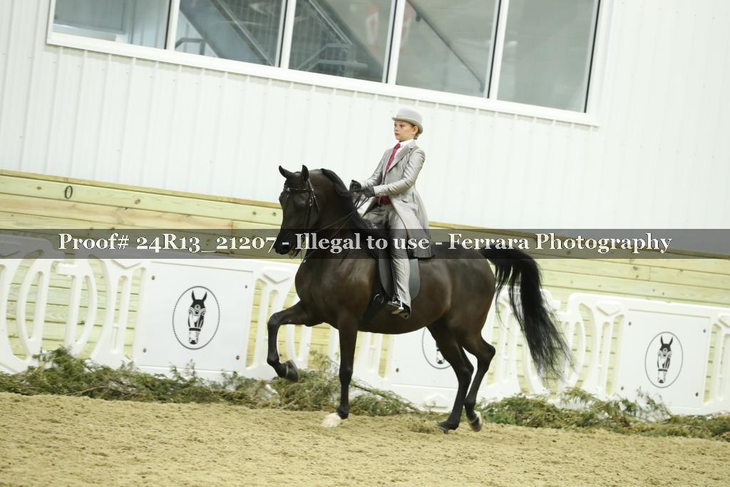 Proof 24R13_21207