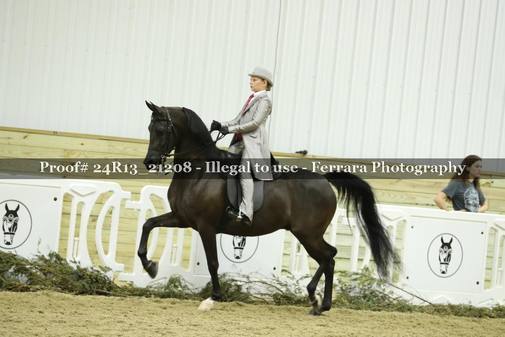 Proof 24R13_21208