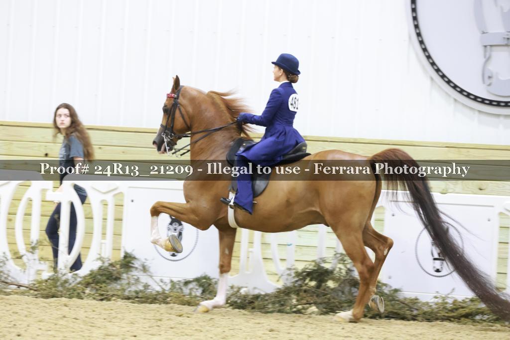 Proof 24R13_21209