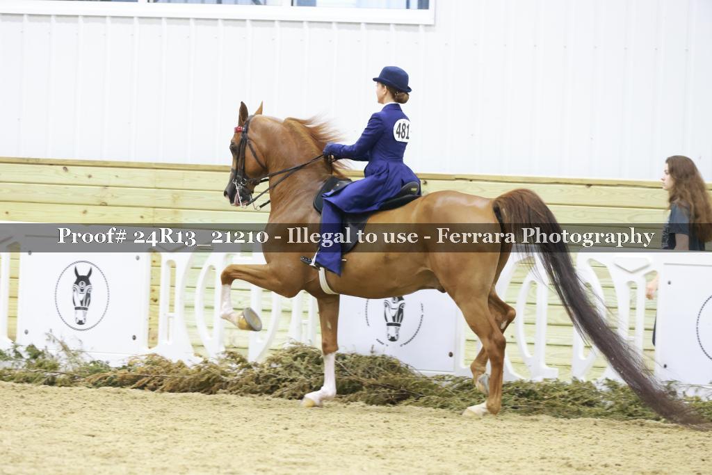 Proof 24R13_21210